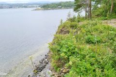 Oslo - Bygdøy