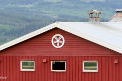 Innlandet - Øystre Slidre - Valdresrose på gårdsbygning