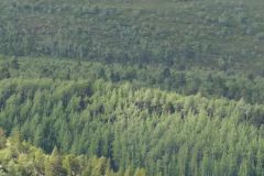 Troms og Finnmark - Porsanger - E6