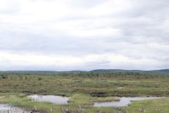 Troms og Finnmark - Porsanger - E6 - Sør for Skoganvarre