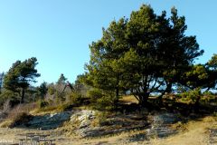 Rogaland - Randaberg - Viste - Jærkysten