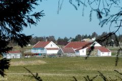 Rogaland - Randaberg - Vistnestunet til Vistevågen - Skogen nedenfor Vistnestunet - Jærkysten