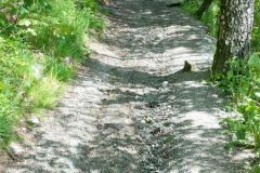 Rogaland - Randaberg - Randabergfjellet