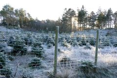 Rogaland - Randaberg - Hålandsvatnet