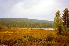 Innlandet - Ringebu