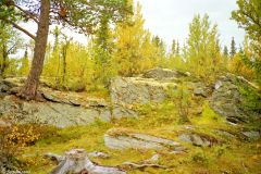 Innlandet - Ringebu
