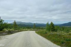 Innlandet - Ringebu - Vinjevegen