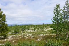 Innlandet - Ringebu - Vinjevegen