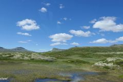 Innlandet - Ringebu - Venabygdsfjellet