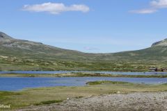 Innlandet - Ringebu - Venabygdsfjellet - Muvatnet