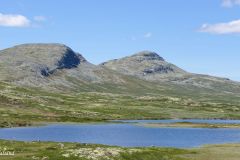 Innlandet - Ringebu - Venabygdsfjellet - Muvatnet