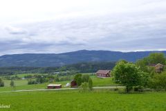 Buskerud - Ringerike