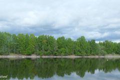 Buskerud - Ringerike - Storelva