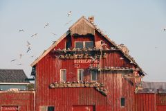Nordland - Røst - "Fuglefjell" av tre på Kårøya