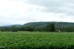 Troms og Finnmark - Salangen - Prestbakkmoen