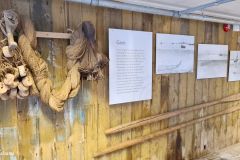 Troms og Finnmark - Salangen - Sjøvegan - Lundbrygga museum