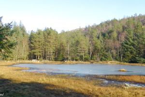 Sandnes