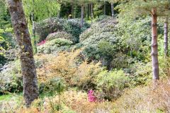 Rogaland - Sandnes - Arboretet