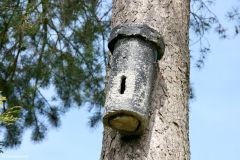Rogaland - Sandnes - Arboretet