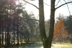 Rogaland - Sandnes - Arboretet