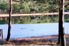 Rogaland - Sandnes - Arboretet