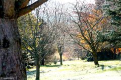 Rogaland - Sandnes - Arboretet