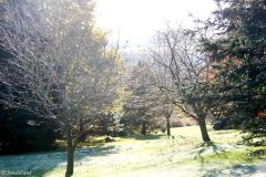 Rogaland - Sandnes - Arboretet
