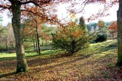 Rogaland - Sandnes - Arboretet