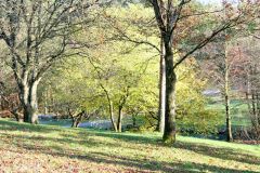 Rogaland - Sandnes - Arboretet