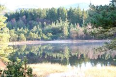Rogaland - Sandnes - Arboretet