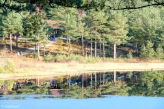 Rogaland - Sandnes - Arboretet