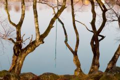 Rogaland - Sandnes - Stokkalandsvatnet