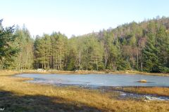 Rogaland - Sandnes - Kubbetjørn