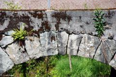 Rogaland - Sandnes - Forsand - Fossanmoen steinbro