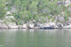 Rogaland - Sandnes - Lysefjorden - Bratteli