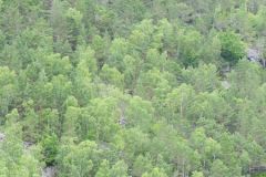 Rogaland - Sandnes - Lysefjorden - Bakken