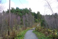 Rogaland - Sandnes - Vagleskogen