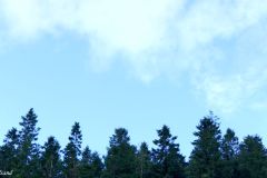 Rogaland - Sandnes - Vagleskogen