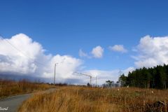Rogaland - Sandnes - Vagleskogen