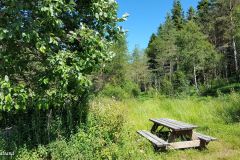 Rogaland - Sandnes - Melsheia