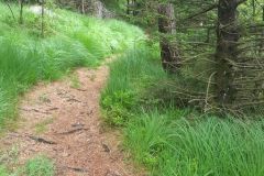 Rogaland - Sandnes - Melsheia - Rundtur Steinfjellet