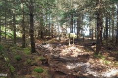 Rogaland - Sandnes - Melsheia - Rundtur Steinfjellet