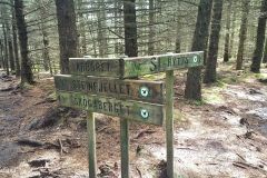 Rogaland - Sandnes - Melsheia - Rundtur Steinfjellet