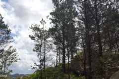 Rogaland - Sandnes - Melsheia - Rundtur Steinfjellet