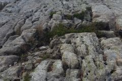 Rogaland - Sandnes - Melsheia - Rundtur Steinfjellet - Steinfjellet