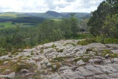 Rogaland - Sandnes - Melsheia - Rundtur Steinfjellet - Steinfjellet
