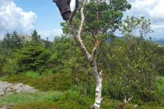 Rogaland - Sandnes - Melsheia - Rundtur Steinfjellet - Steinfjellet