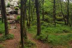 Rogaland - Sandnes - Melsheia - Rundtur Steinfjellet