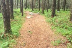Rogaland - Sandnes - Melsheia - Rundtur Steinfjellet