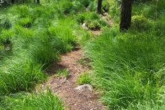Rogaland - Sandnes - Melsheia - Rundtur Steinfjellet